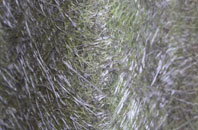 Kirkshaw fibreglass roof work